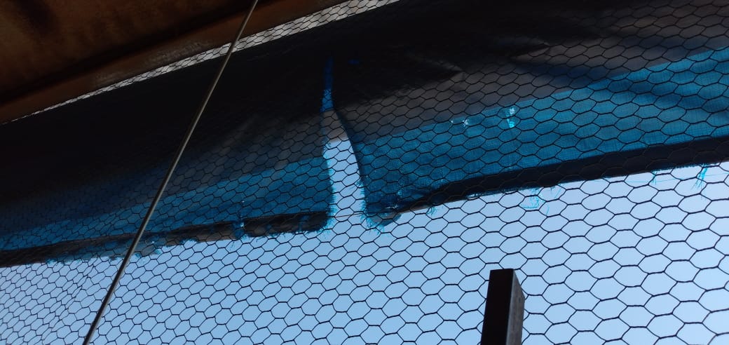 Malla Antipájaro de Alambre Revestido en PVC