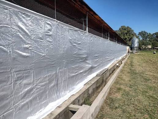 ¿Por qué es importante tener cortinas avícolas certificadas bajo la norma ISO 9001:2024?