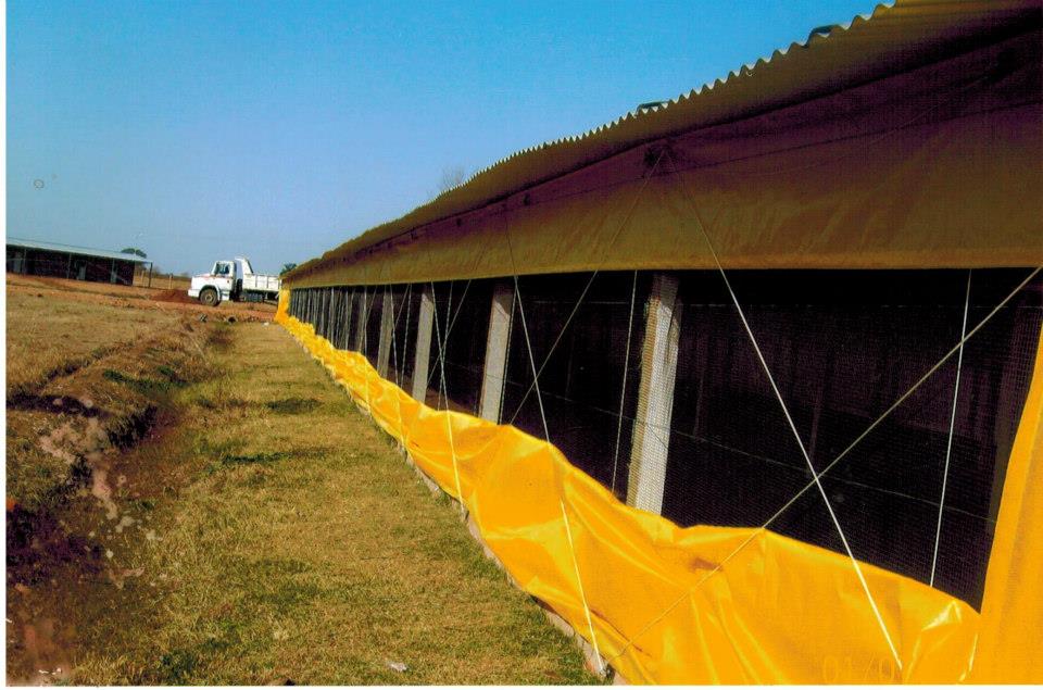 Malla Antipájaro de Monofilamento Flexible 1